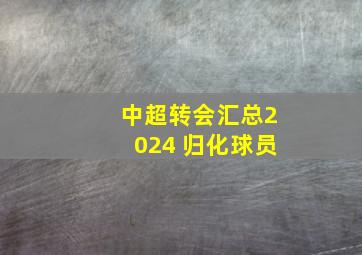 中超转会汇总2024 归化球员